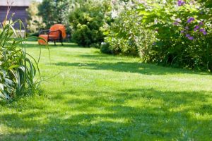 travaux jardin et paysage Pexonne